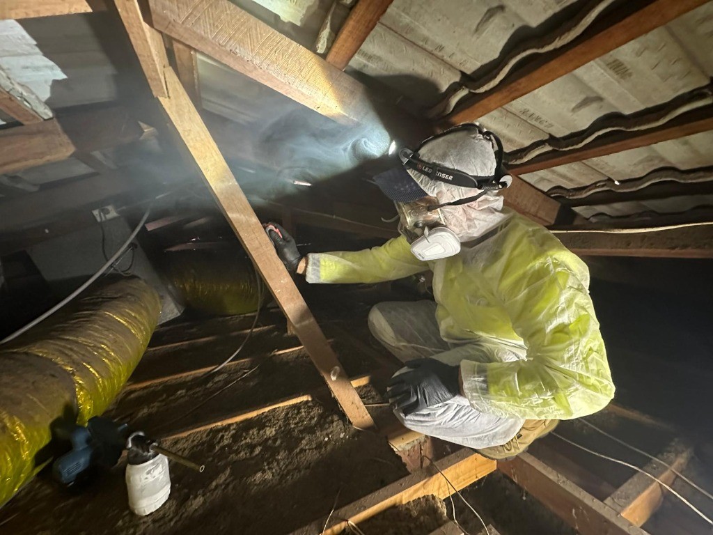 Licensed technician applying termite treatment and structural protection in Perth home