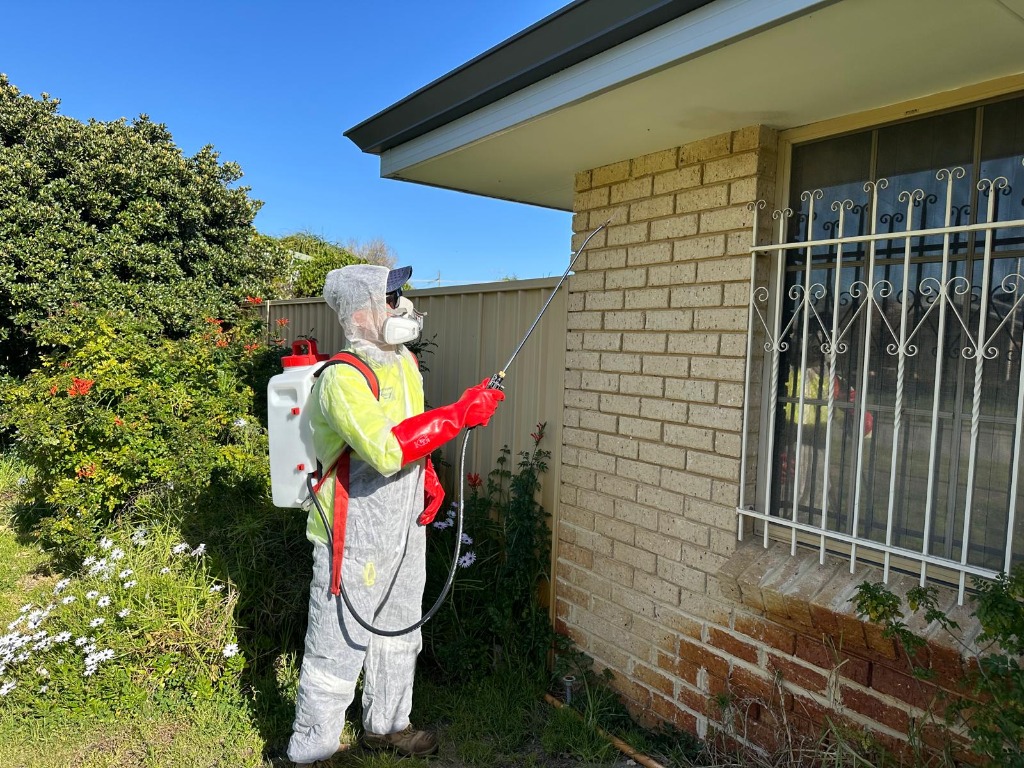 Technician applying external perimeter pest control spray to Perth brick home