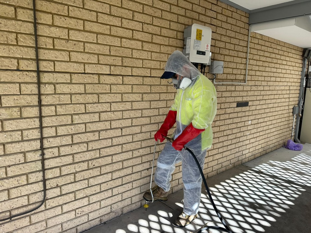 Technician conducting perimeter termite inspection and slab edge treatment in Perth